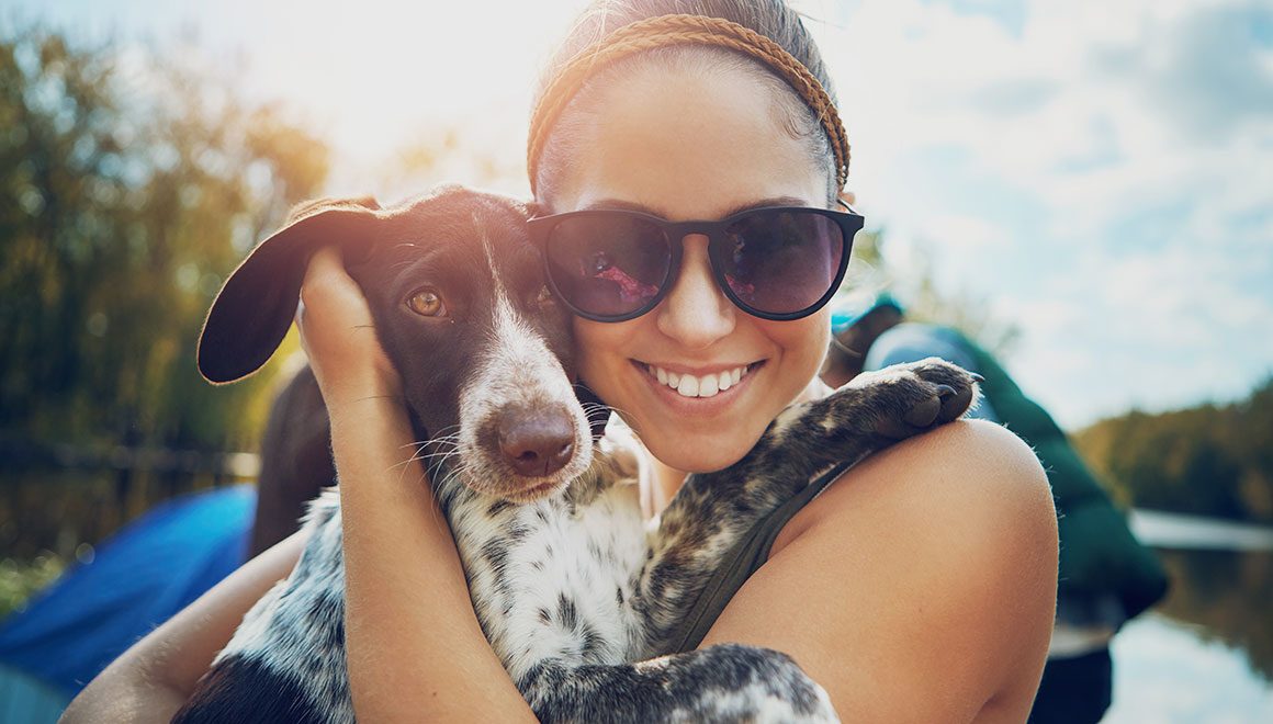 Must Love Dogs