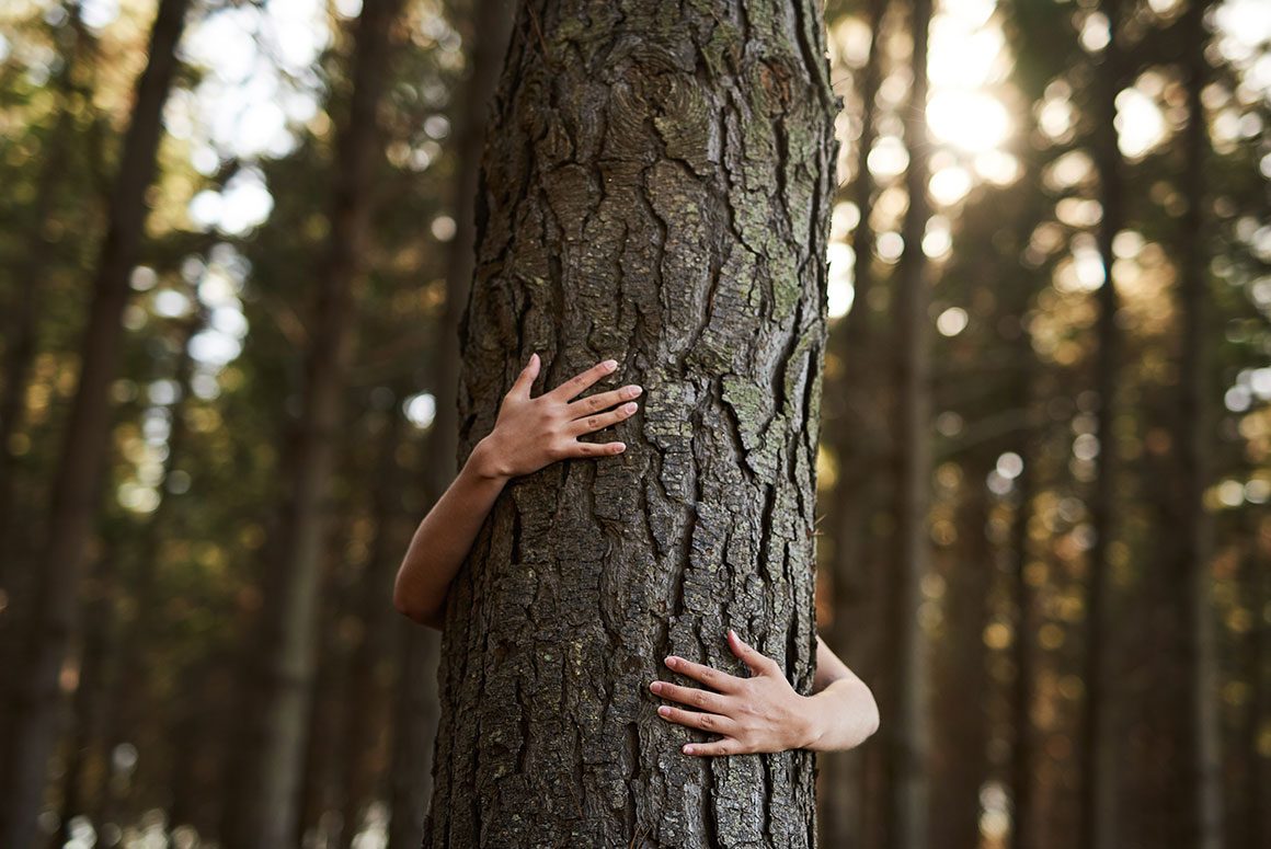 Hug a Tree, They Have Less Issues  than People