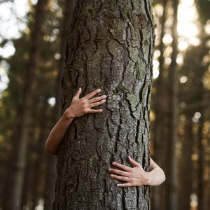 Hug a Tree, They Have Less Issues  than People