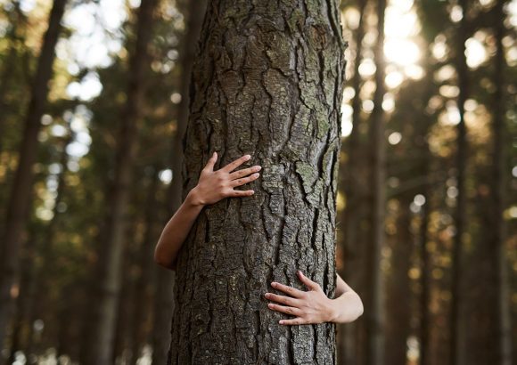 Hug a Tree, They Have Less Issues  than People
