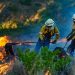 Huge Wildfire: Do You Hear the Trees  Falling?