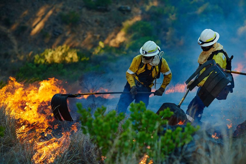 Huge Wildfire: Do You Hear the Trees  Falling?